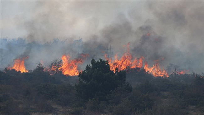 Bakanlık resmen duyurdu. Orman yangınları nedeniyle ertelendi - Resim : 11