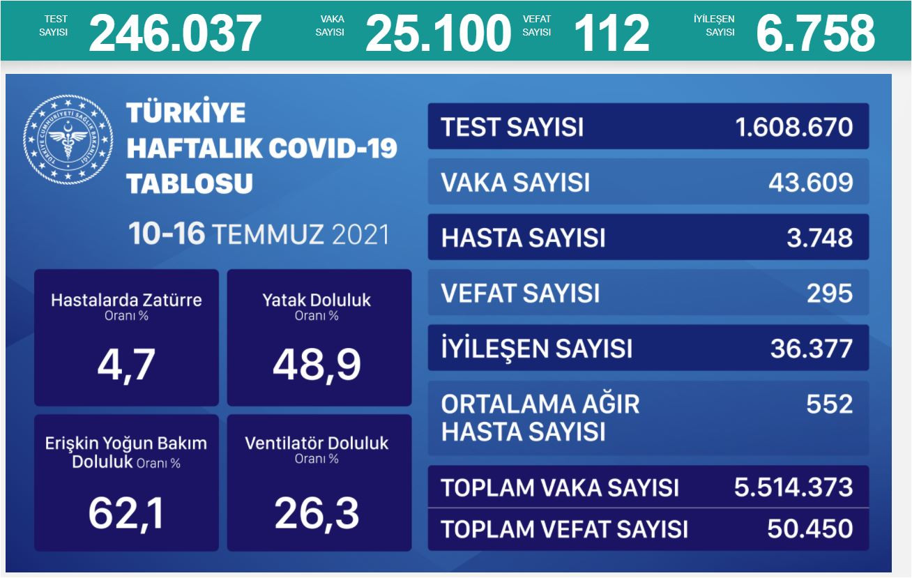 Virüste vaka sayısı 25 bin 100 oldu - Resim : 2