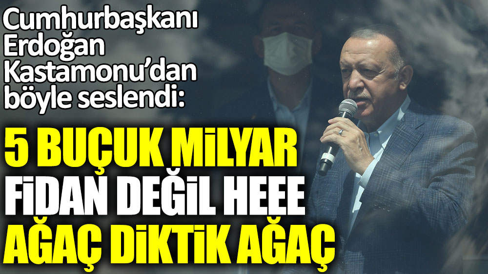 Cumhurbaşkanı Erdoğan Kastamonu&#39;dan böyle seslendi: 5 buçuk milyar fidan değil ağaç diktik ağaç