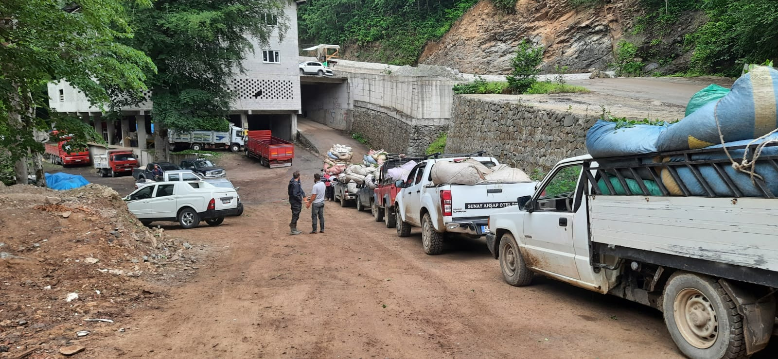 Erdoğan'ın memleketi Rize'de çay isyanı: Sömürülüyoruz - Resim : 2