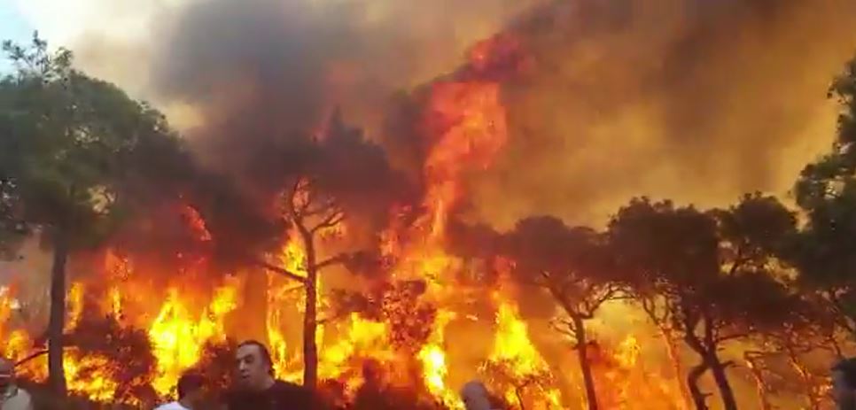 İstanbul Heybeliada’da başlayan orman yangını büyürken vatandaşlar da yangına müdahale etmeye çalışıyor.