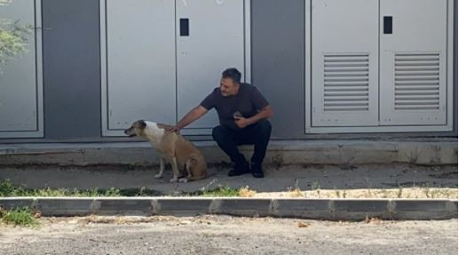 Türkiye daire 16’nın isyanını konuşmuştu! Belediye Başkanı müjdeli haberi verdi - Resim : 1
