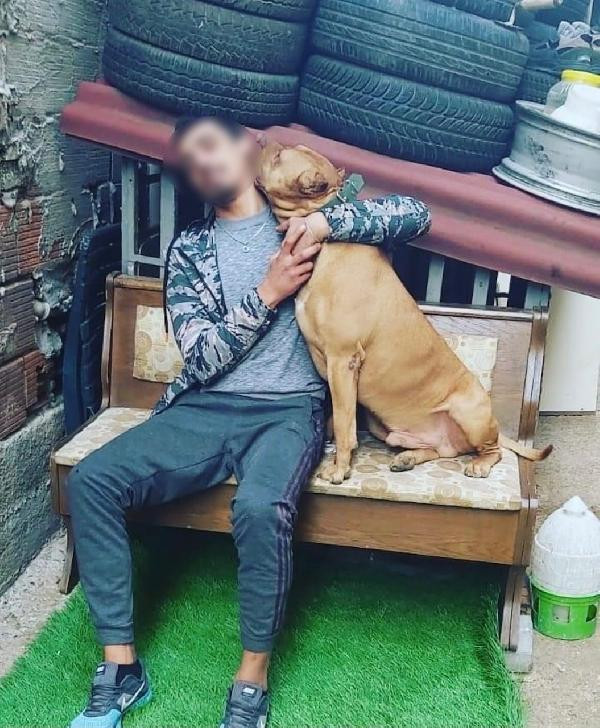 Pendik'te yüzen genci pitbull mu öldürdü - Resim : 1