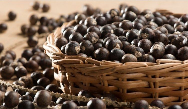 Kanser hücrelerini öldürüyor fazla kiloları mum gibi eriyor - Resim : 1