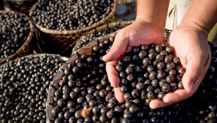 Kanser hücrelerini öldürüyor fazla kiloları mum gibi eriyor - Resim : 3