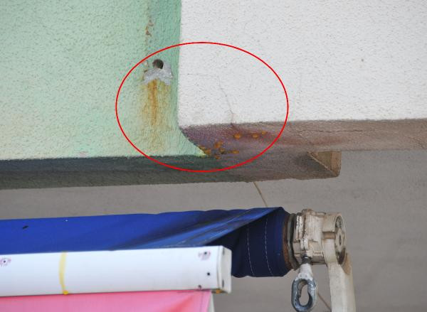 Antalya'da duvardan akan sarı suyun sırrı çözüldü - Resim : 5