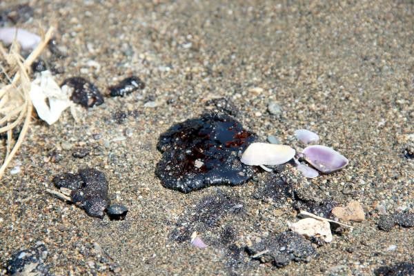 Tehlike hızla yayılıyor! Hatay Valisi Doğan'dan açıklama geldi - Resim : 1