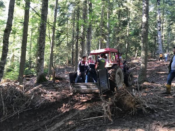 Kestiği ağacın altında kaldı hayatını kaybetti - Resim : 1