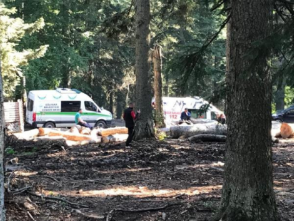 Kestiği ağacın altında kaldı hayatını kaybetti - Resim : 2