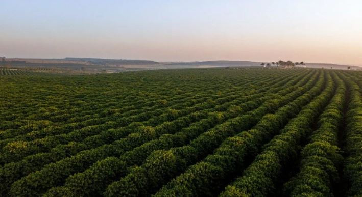 Yüzde 60’ı tükendi bile. Evin ofisin vazgeçilmezi - Resim : 3