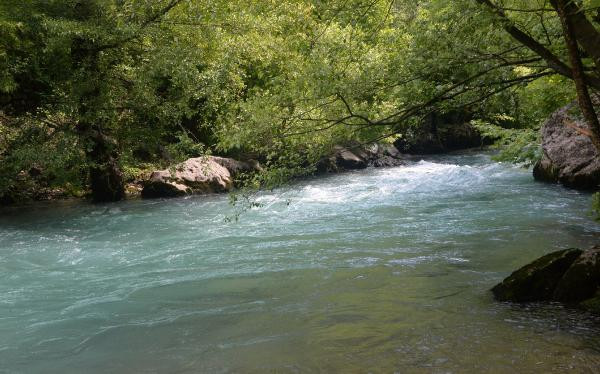 Sel felaketleri ve yangınların ardından Antalya'da 3 HES projesi iptal edildi - Resim : 4