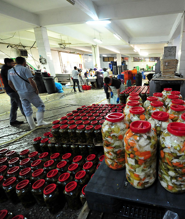 Yüzbinlerce ton üretiliyor - Resim : 1