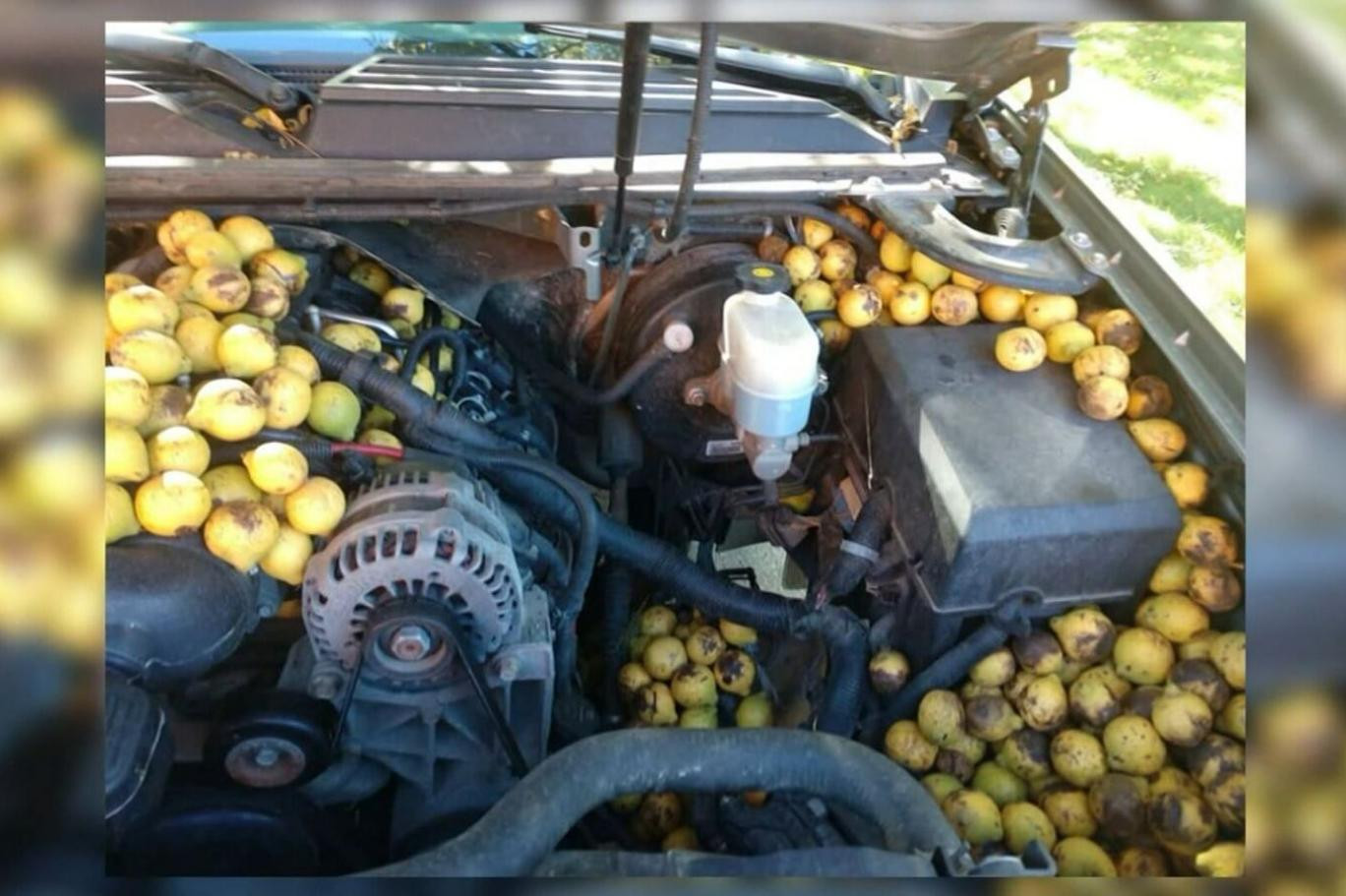 Aracının kaputunu açınca gözlerine inanamadı - Resim : 3