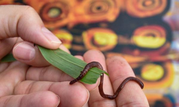 Dikkat çeken geri dönüşüm - Resim : 2