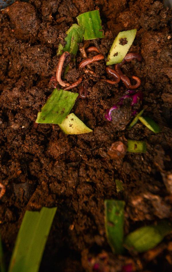Dikkat çeken geri dönüşüm - Resim : 3