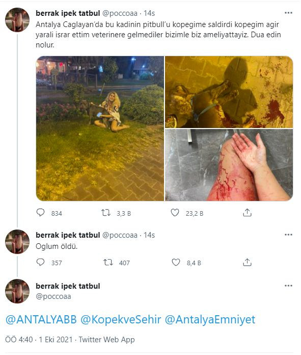 Bu katillere dur diyecek bir devlet görevlisi yok mu - Resim : 1