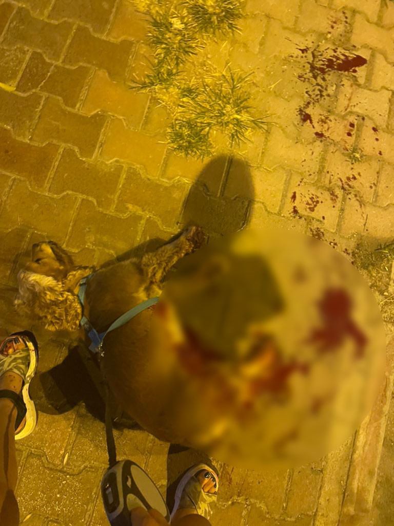 Bu katillere dur diyecek bir devlet görevlisi yok mu - Resim : 4