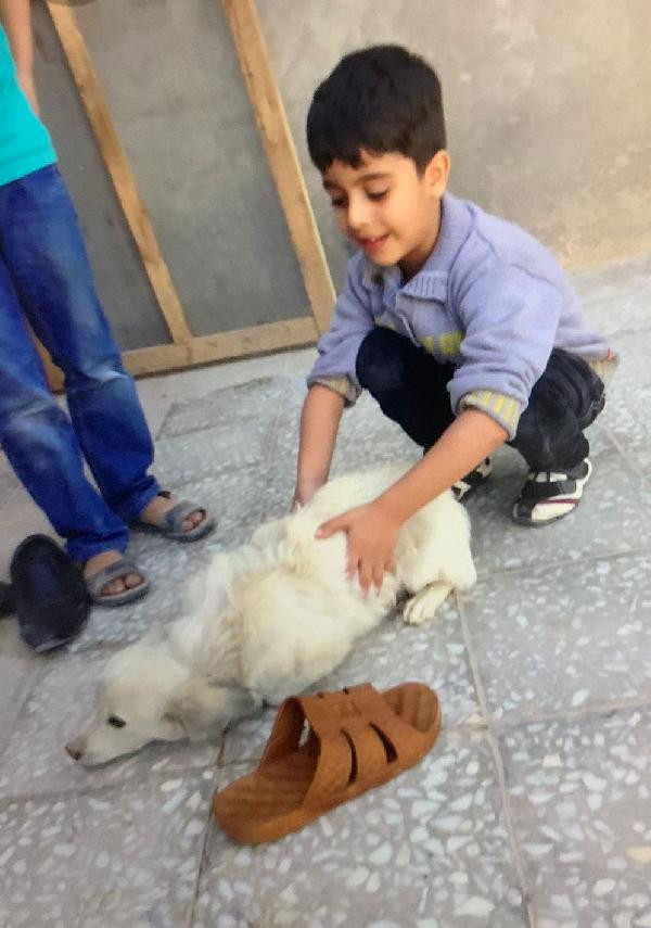 11. kattan düşerek hayatını kaybetti - Resim : 1