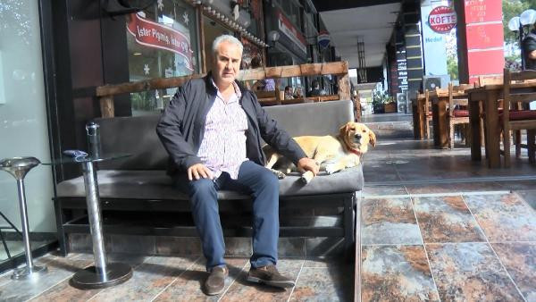 Suratından bıçaklanan köpek kan revan içinde dükkana sığındı - Resim : 2