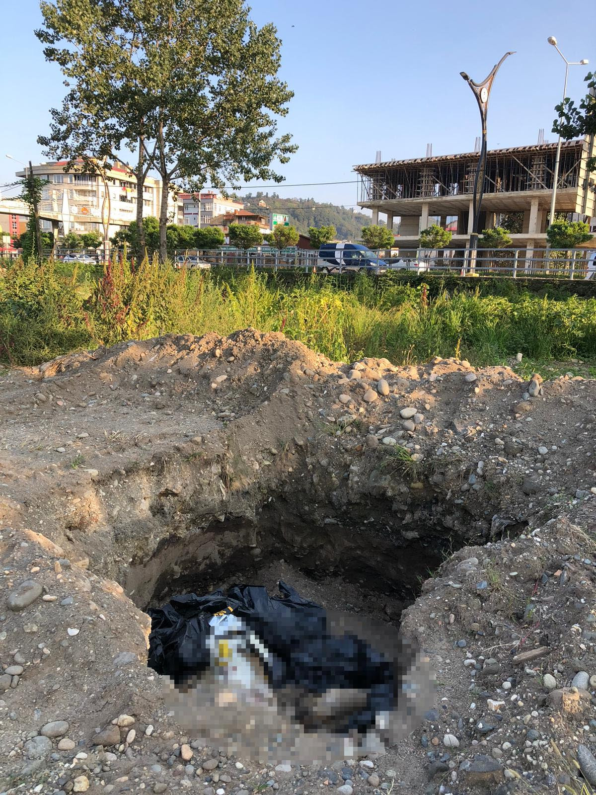 Giresun'da vahşet. Çukurda 10 ölü köpek bulundu - Resim : 2