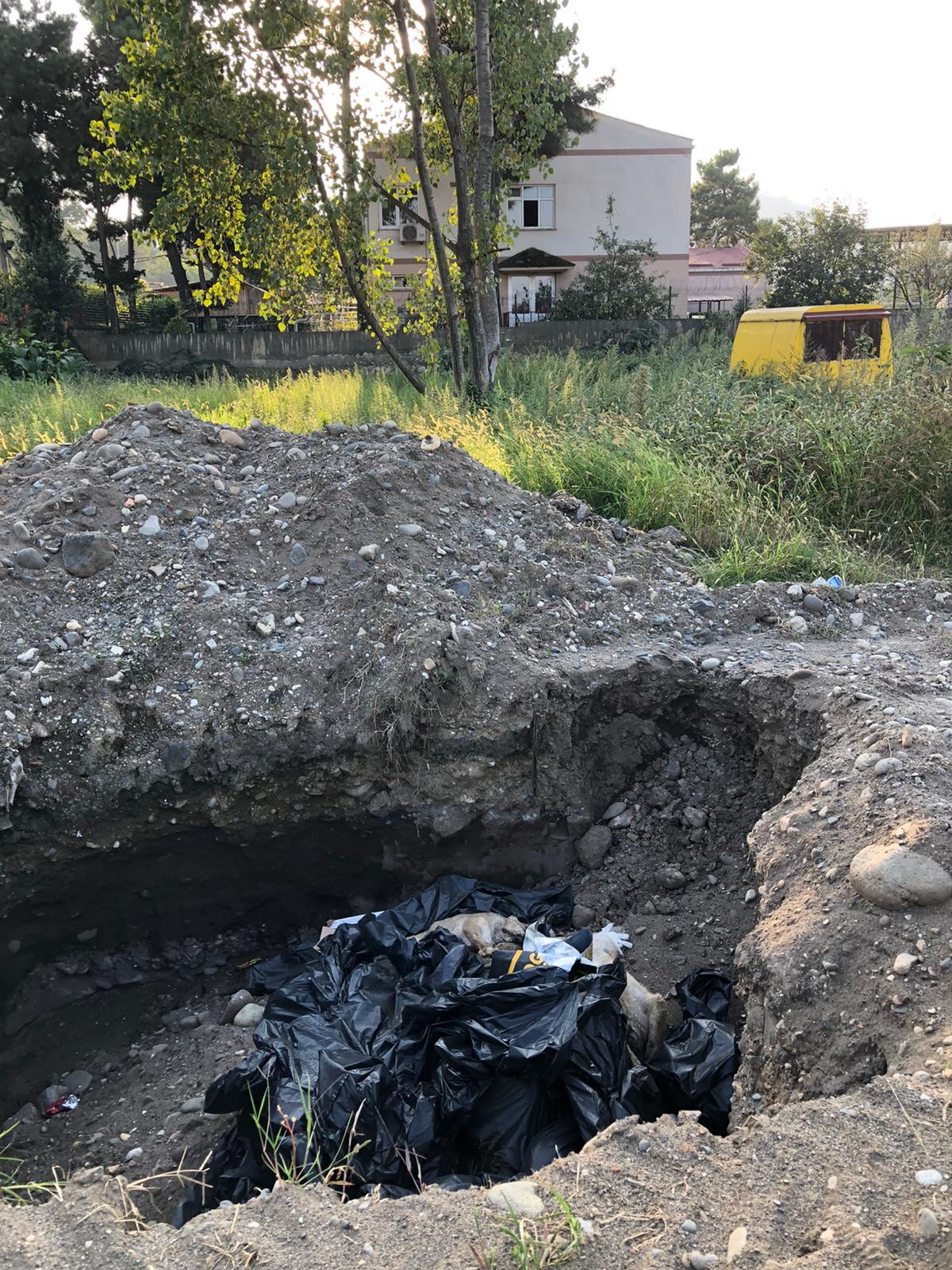 Giresun'da vahşet. Çukurda 10 ölü köpek bulundu - Resim : 3