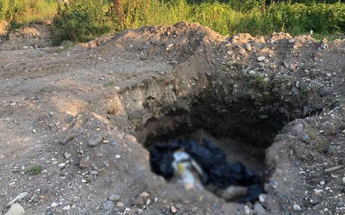 Giresun'da vahşet. Çukurda 10 ölü köpek bulundu - Resim : 7