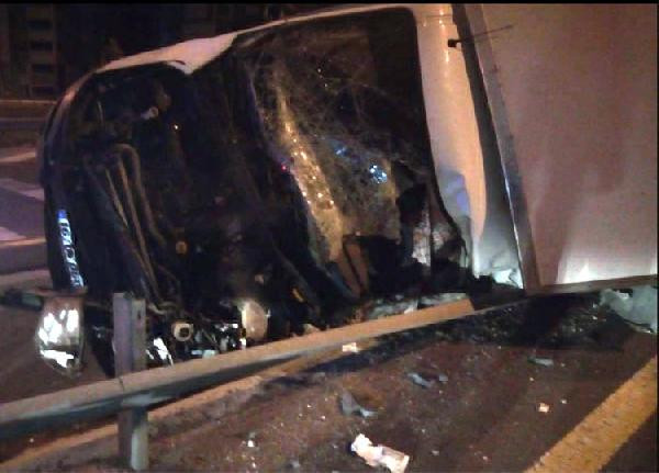 Yarış atlarını taşıyan kamyonet devrildi - Resim : 1