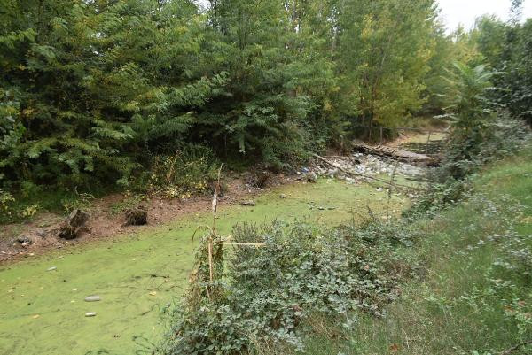 Bayır Deresi can çekişiyor - Resim : 5