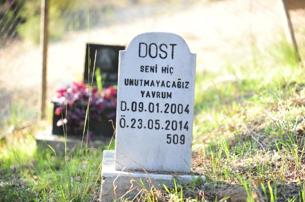 Evcil hayvan mezarlığında duygulandıran yazılar - Resim : 2