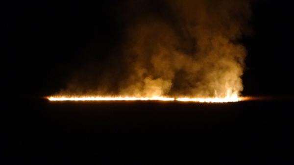 Nehil Sazlığı 2 gün sonra yine cayır cayır yandı - Resim : 2