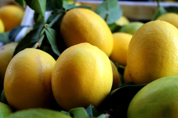 Kasanın fiyatı limonun fiyatını geçti - Resim : 4