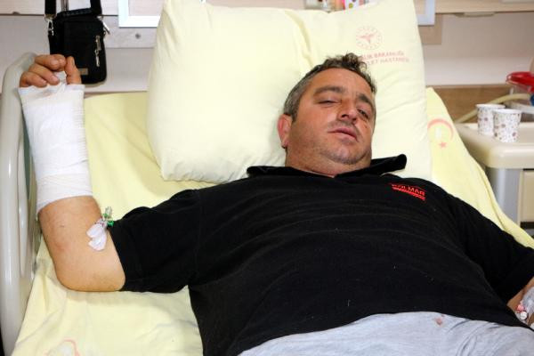 Ayı saldırısından kurtulan Şener Yıldız ‘Siz bir de ayıyı görün’ - Resim : 1