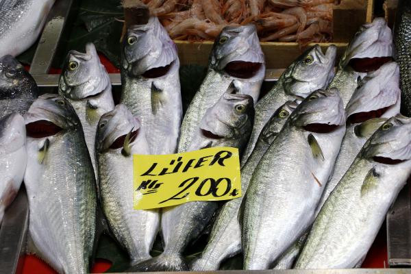 Lodos balık fiyatlarını vurdu. Lüferin fiyatı 200 liraya çıktı - Resim : 1