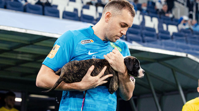 Rus takımı Zenit'ten alkış alan hareket! Sahipsiz köpeklerle sahaya çıktılar herkes takdir etti - Resim : 3