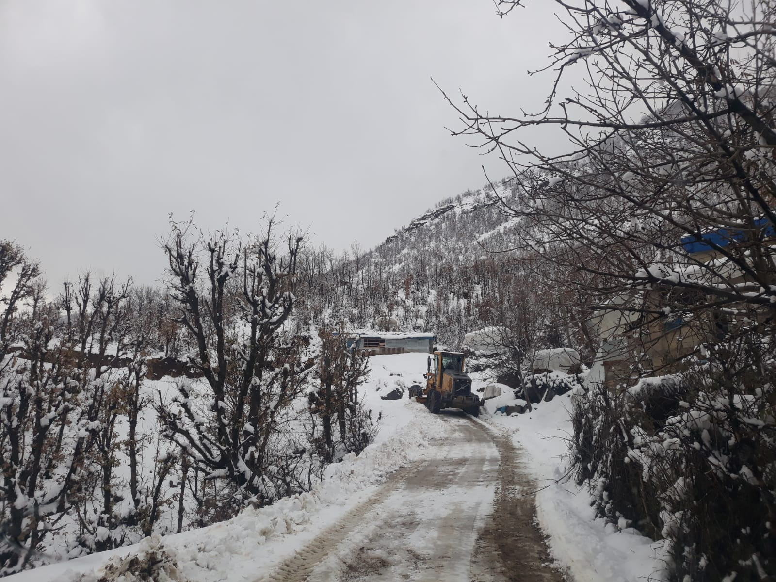 Şırnak’ta 20 köy ve 6 mezra yoluna ulaşım sağlanamıyor - Resim : 1