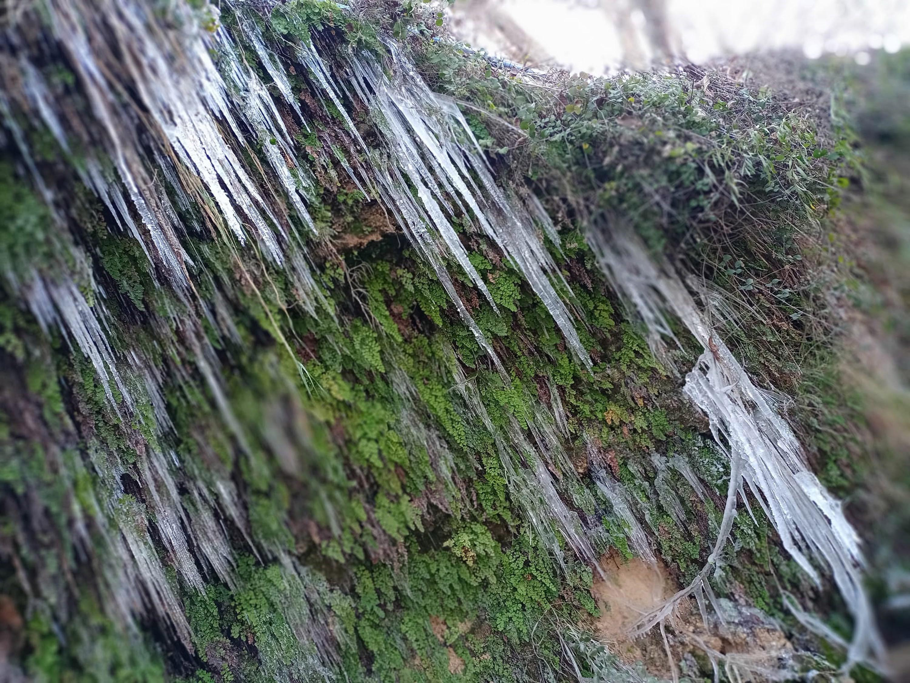 Güney Şelalesi buz tuttu - Resim : 1