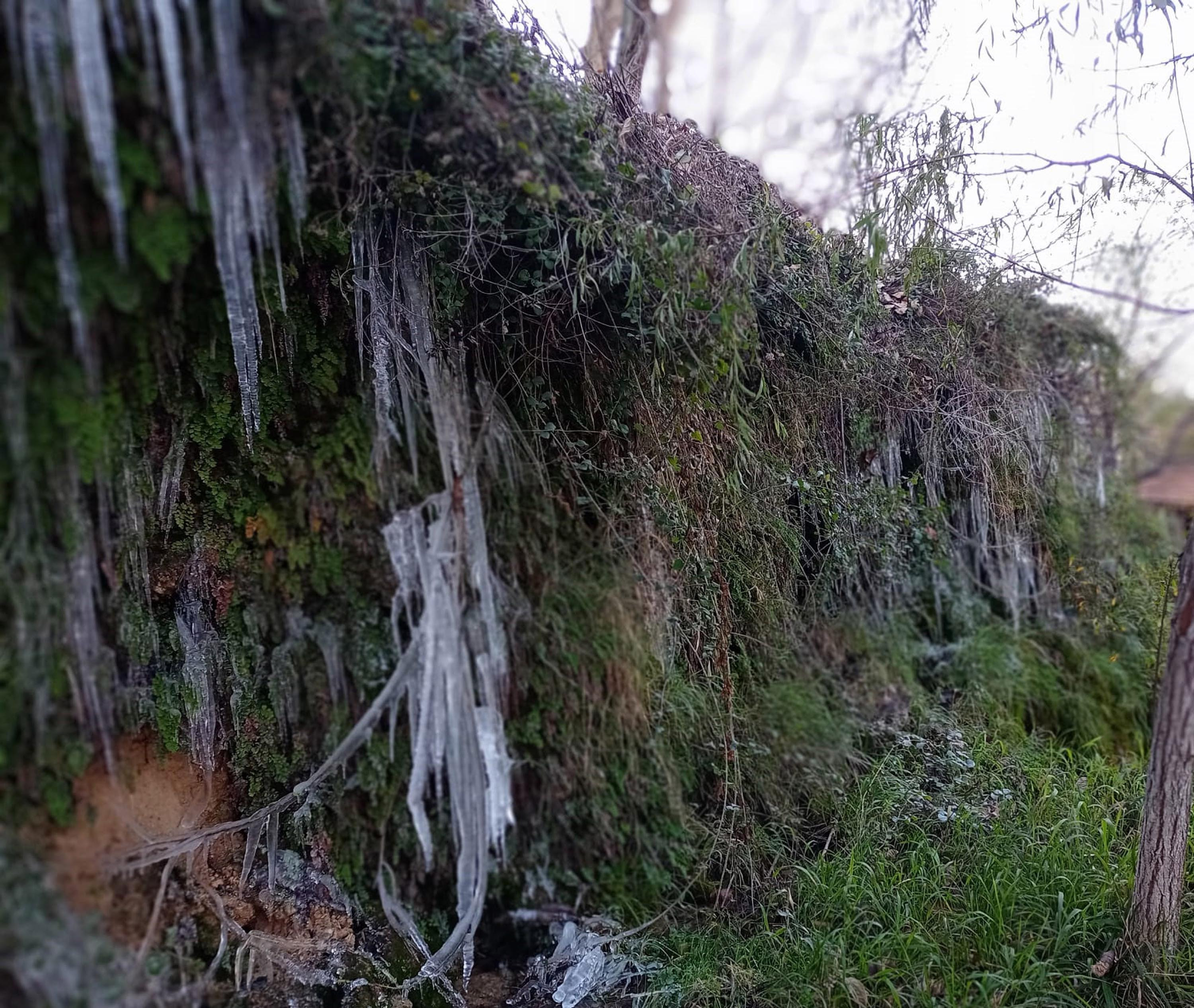 Güney Şelalesi buz tuttu - Resim : 2