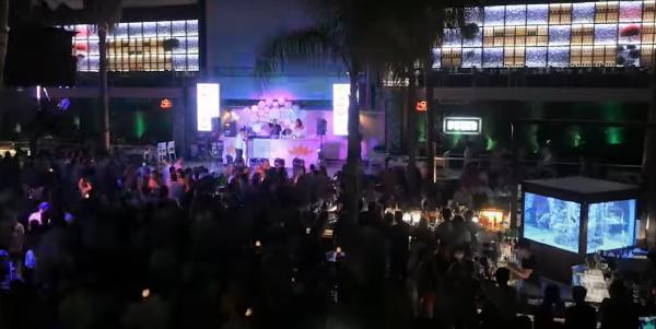 Diskotekteki köpek balığı hakkında yeni gelişme - Resim : 2