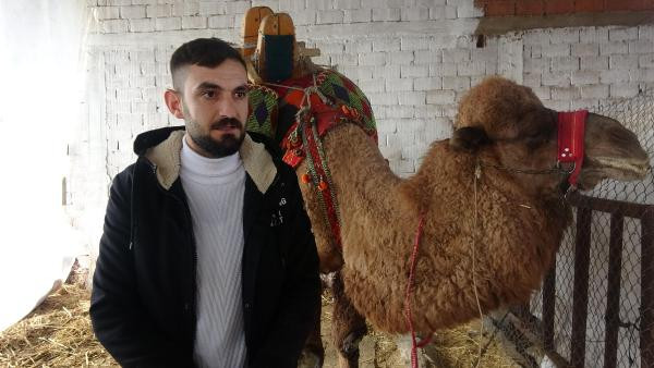 Kredi borcu nedeniyle güreş devesi haczedildi - Resim : 3