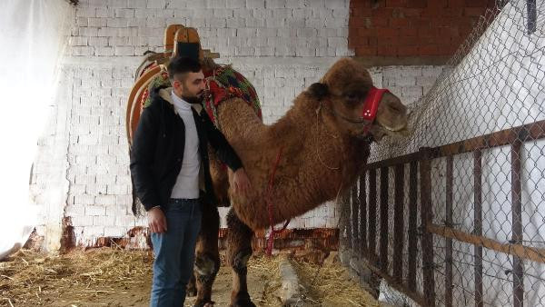 Kredi borcu nedeniyle güreş devesi haczedildi - Resim : 5