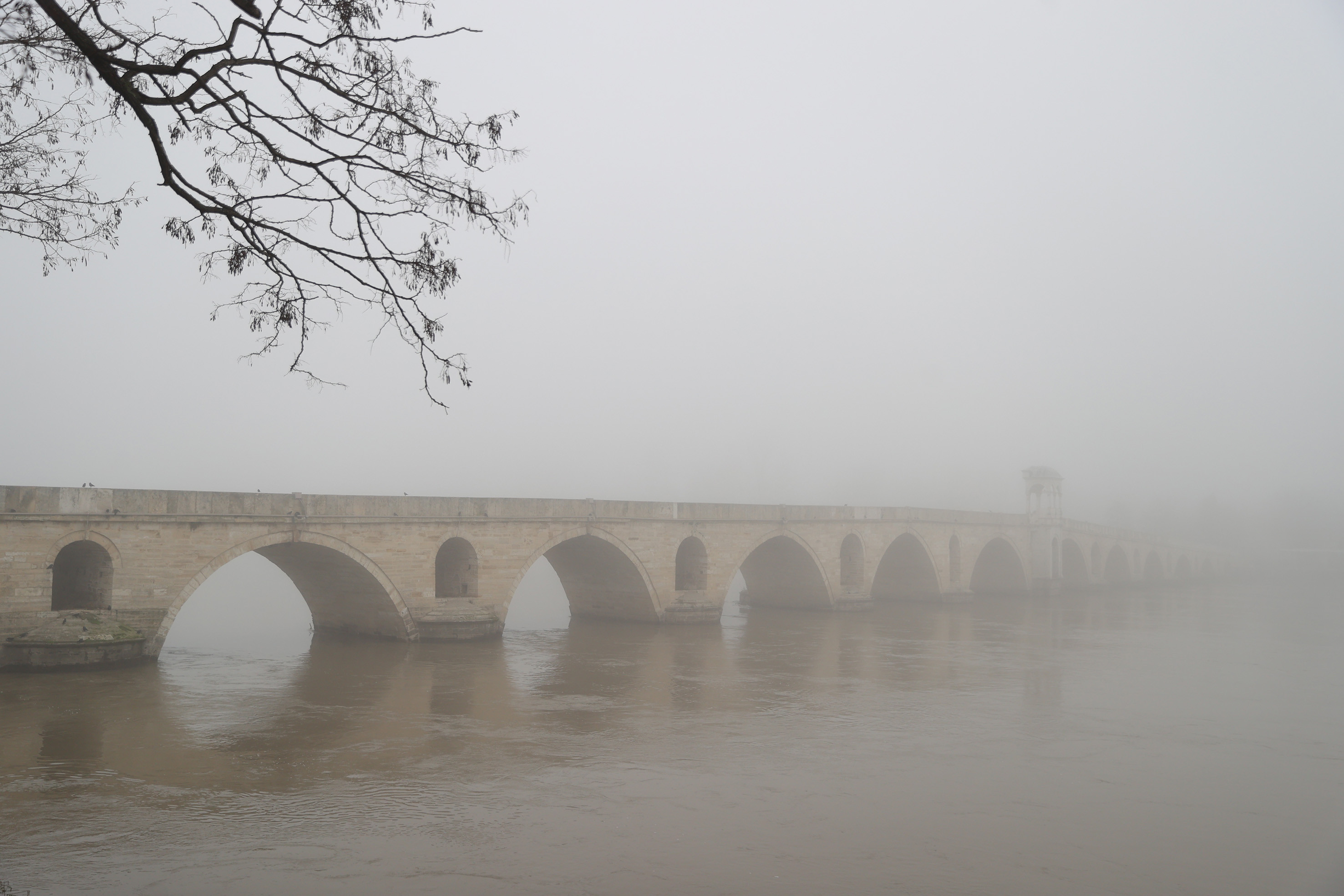 Edirne'de yoğun sis (01 Ocak 2022) - Resim : 1