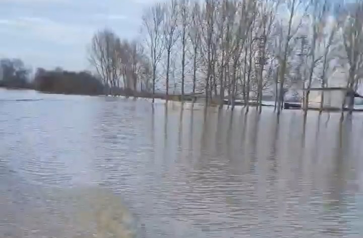 Meriç Nehri'nde taşkın alarmı: Köy halkı kayıkla geziyor - Resim : 2