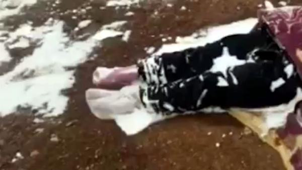 İran sınırında Afgan anne soğuktan öldü, 2 çocuğu donmak üzereyken bulundu - Resim : 3