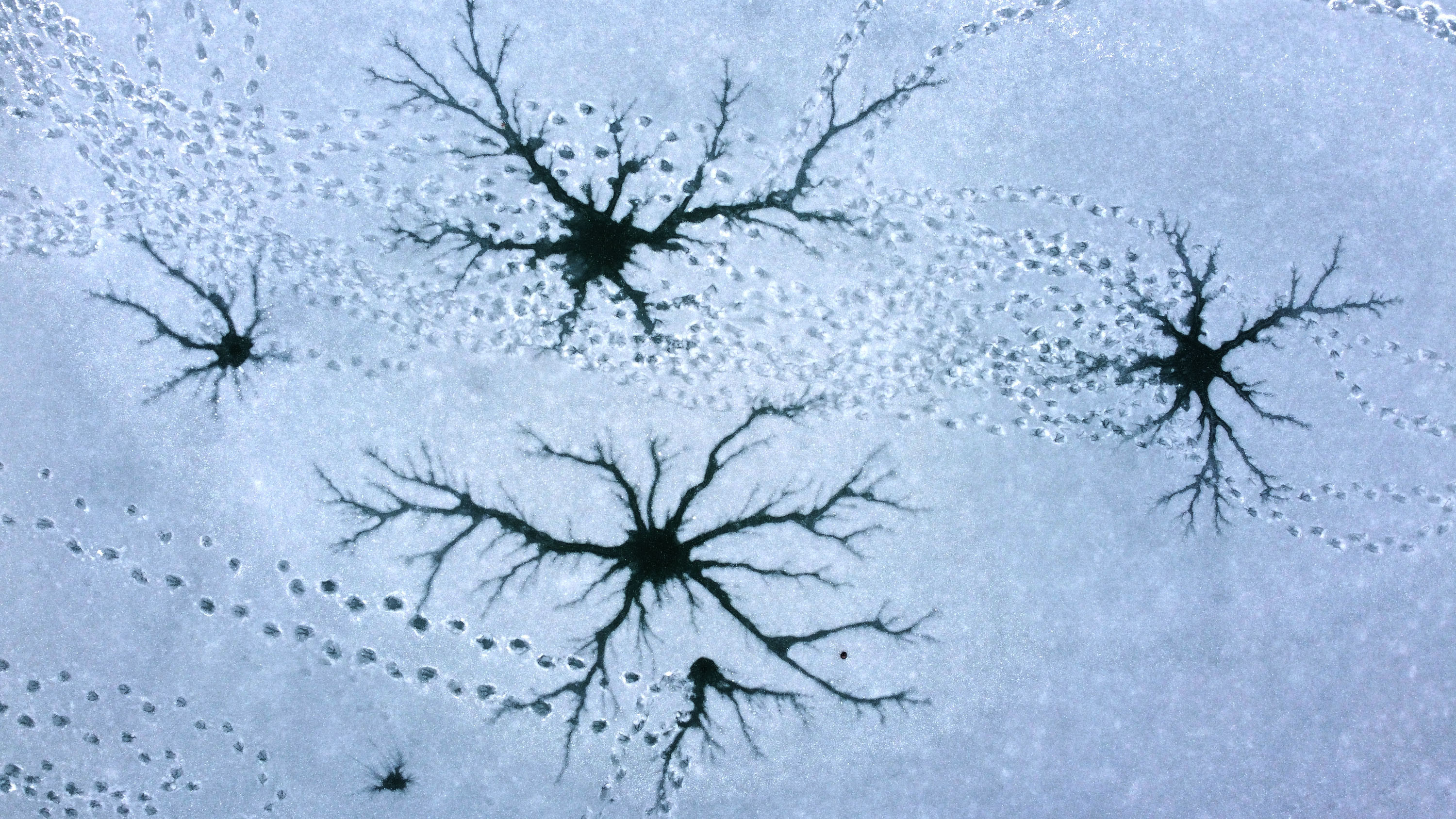 Sivas'ta, 74 yerleşim yerine kar nedeniyle ulaşılamıyor - Resim : 2