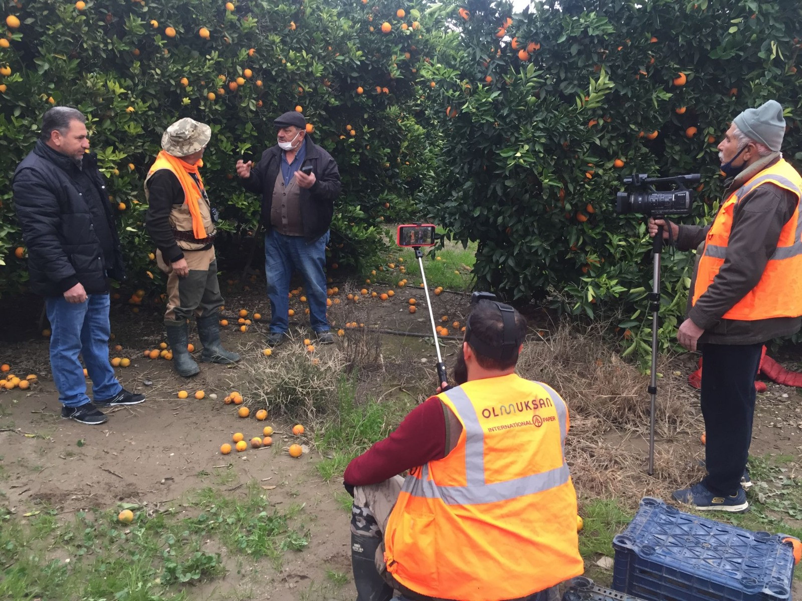 Domuzlar adanalı çiftçileri canlarından bezdirdi - Resim : 1