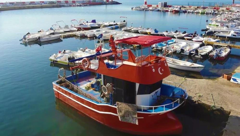 Denizden hamsi ve istavrit fışkıracak - Resim : 1