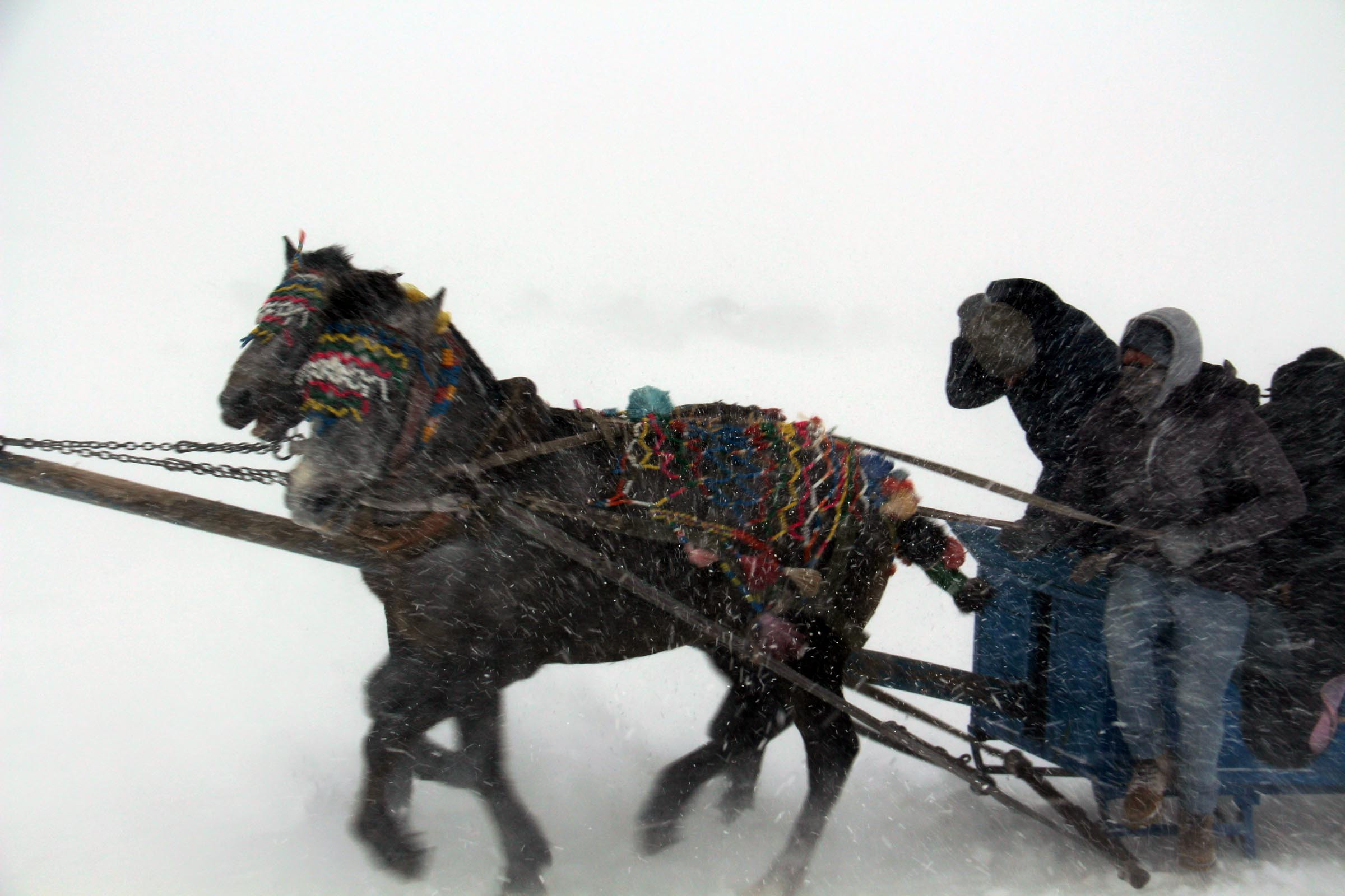CHP'li belediye başkanları, Çıldır Gölü'nde tipiye tutuldu - Resim : 1