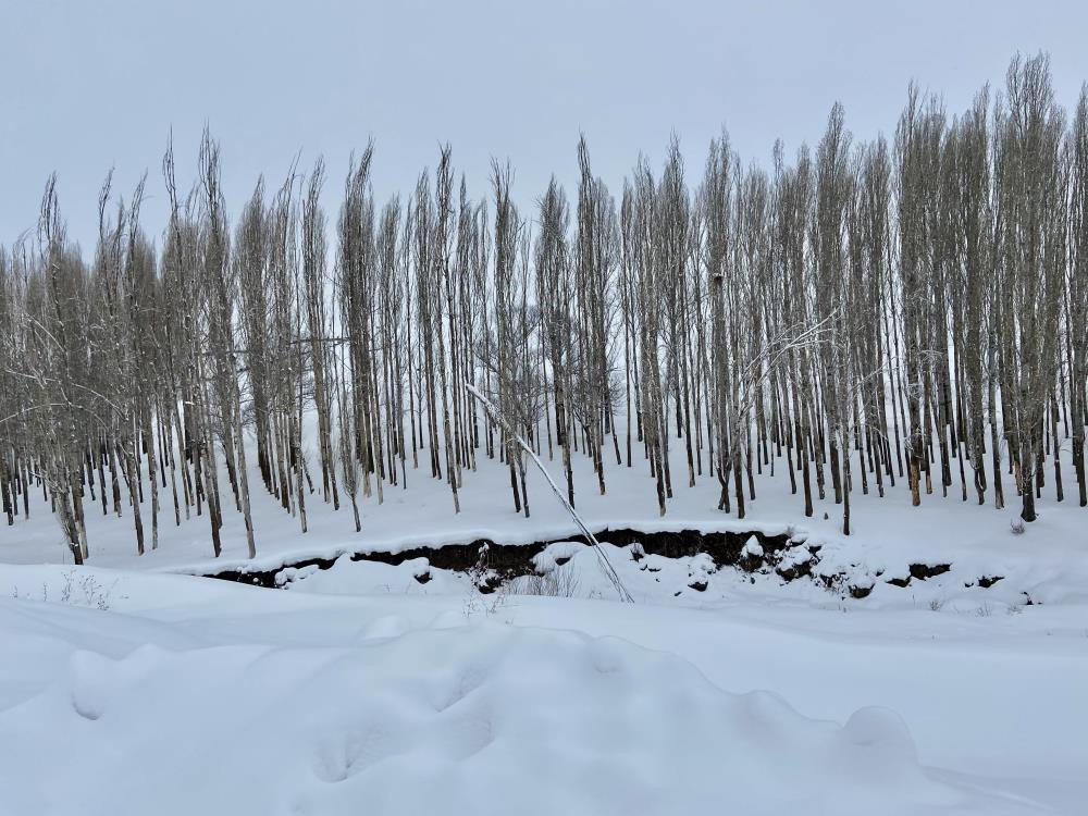 Ağrı eksi 30'u gördü evler kar altında - Resim : 10