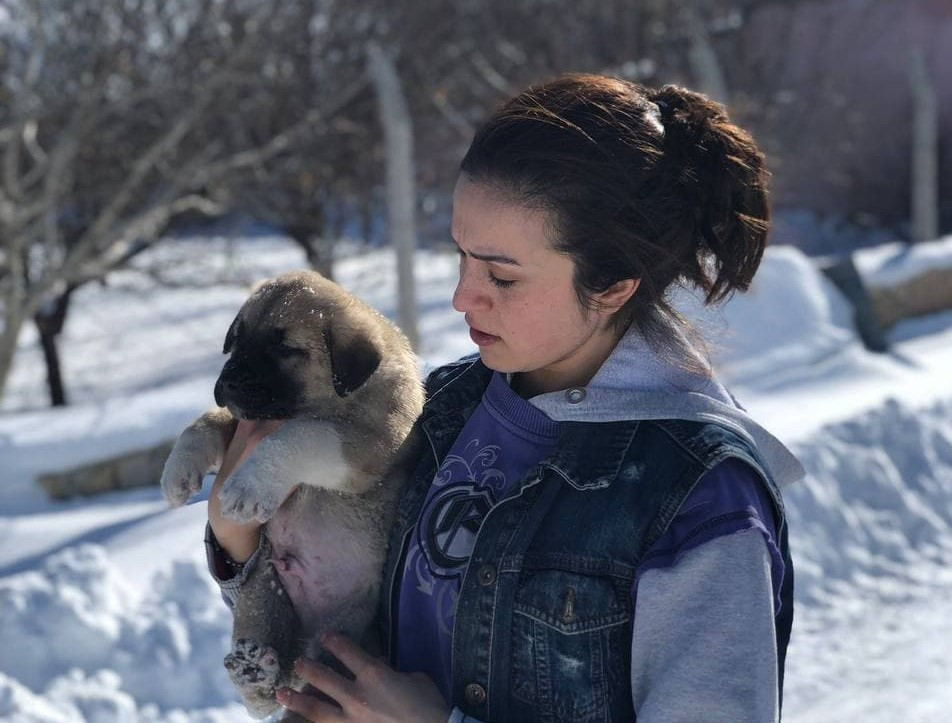 Soğukta aç kalan köpeklere baba ve kızı sahip çıktı - Resim : 3