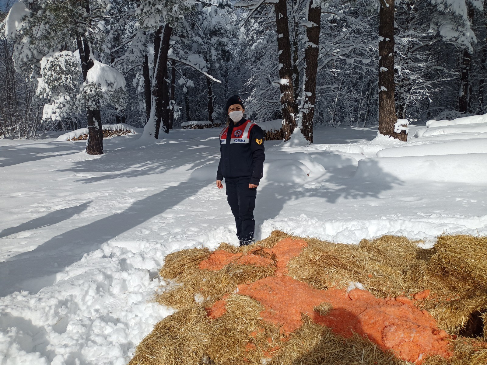 Yem bulmakta zorluk çeken hayvanlar unutulmadı - Resim : 2